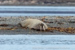 240922d_Kapp-Wijk_43_N