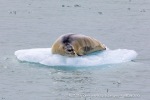 220720c_Monacobreen_15_N