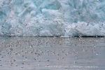 a8_Monacobreen_07Jul06_31_N