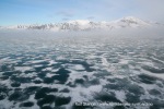 b9_Monacobreen-20June07_04_N