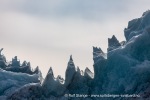 f2o_Monacobreen_29Juni13_101_N