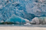 f5k_Monacobreen_28Juli13_41_N