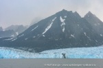 b3_Monacobreen_16Sept08_23_N