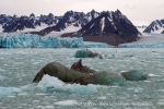 d1_Monacobreen_15Sept12_094_N