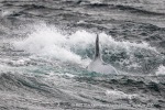 241105c_Kvaenangen_04_N
