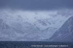 241106_Kvaenangen_08_N