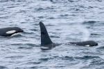 241106_Kvaenangen_12_N