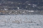 241106_Kvaenangen_64_N