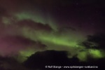 241109b_Hamnes_46_N