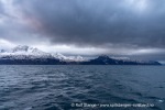 241110_Lyngenfjord_50_N