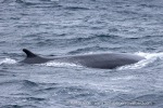 241106_Kvaenangen_48_E