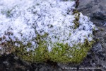241114_Manndalen_06_D