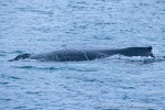 241115_Kvaenangen_145_D