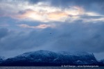 241117a_Kvaenangen_05_D