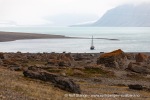 240827a_Bjonahamna_45_N