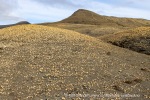 200721b_Deltaneset_507_N