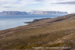 200721b_Deltaneset_621_N
