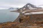160602a_Diabasodden_05_N