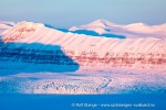 190307b_Fjordnibba_39_N