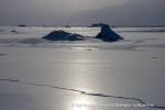 240416b_Tunabreen_197_N