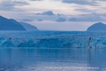 240826f_Tunabreen_42_N