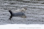 220504a_Midterhukhamna_063_N