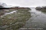 220504a_Midterhukhamna_085_N