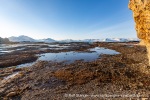 b1n_Midterhukhamna_22Sept14_001_N