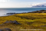 g3_Midterhukhamna_24Aug12_40_N