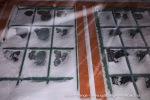 250110_Longyearbyen_42_N