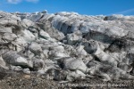 230717a_Ymerbukta_060_N