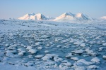 Ymerbukta_03Okt08_14_N