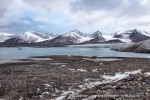 a1_Ymerbukta_23Sept09_28_N