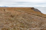 170712c_Erdmannodden_02_N