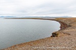 170712c_Erdmannodden_28_N