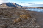 190711b_Ymerbukta_31_N