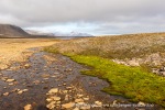 210809c_Ymerbukta_59_N