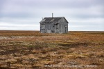 230823a_Erdmannflya_120_N