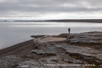 240717a_Tundraodden_041_N