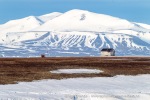 a2_Ymerbukta_24Juni12_35_N