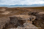 b1j_Erdmannflya_05Aug15_184_N