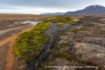 b1j_Erdmannflya_05Aug15_283_N