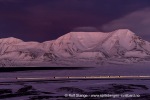 250130b_Kuhaugen_06_N