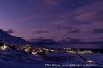 250130b_Kuhaugen_14_N