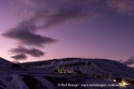 250130b_Kuhaugen_17_N