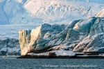 Borebukta_04Okt08_43_E