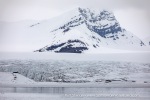 190608b_Nansenbreen_01_E