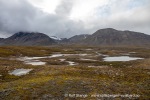 180727c_Tundraodden_16_N