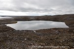 240717a_Tundraodden_097_N