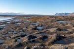 240907a_Tundraodden_01_N